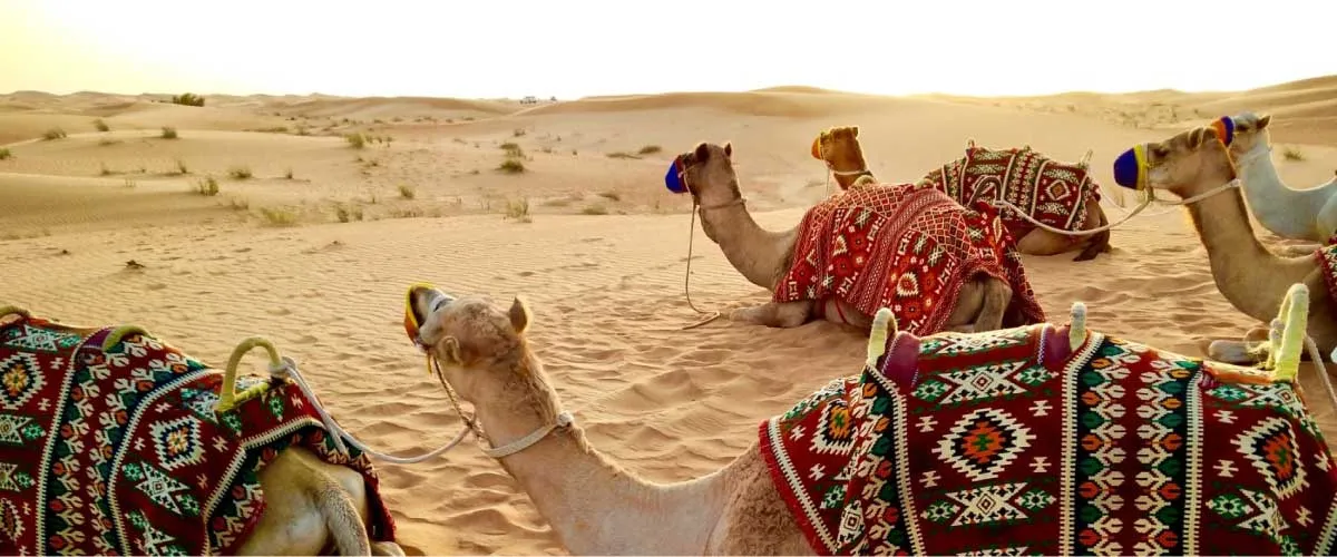 Seguro de viaje a Oriente Medio