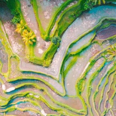 Vacunas para viajar a Indonesia